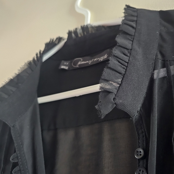 PJK Patterson J Kincaid Raw Hem Sheer Button Blouse - Picture 6 of 9